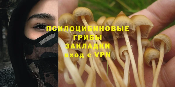 PSILOCYBIN Белоозёрский