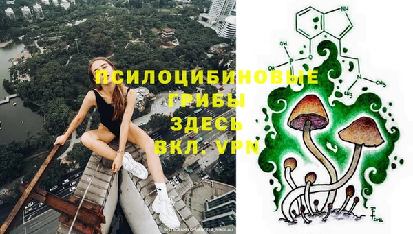 ешки Белокуриха