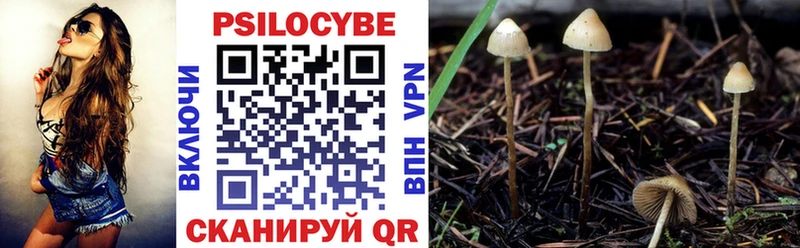 Галлюциногенные грибы мухоморы  хочу наркоту  кракен   Володарск 
